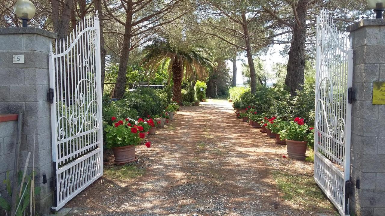 Campo Alle More Cecina  Exteriér fotografie