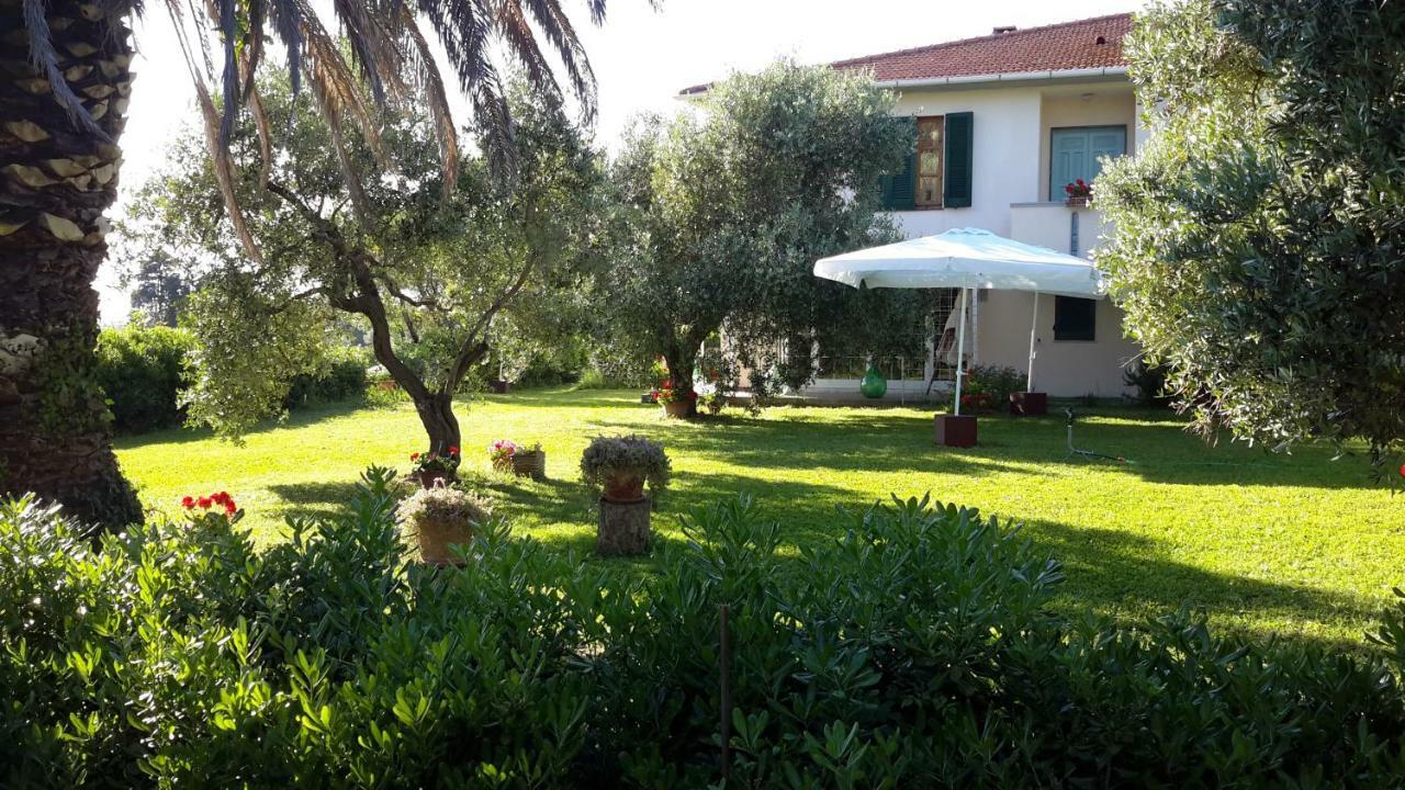 Campo Alle More Cecina  Exteriér fotografie