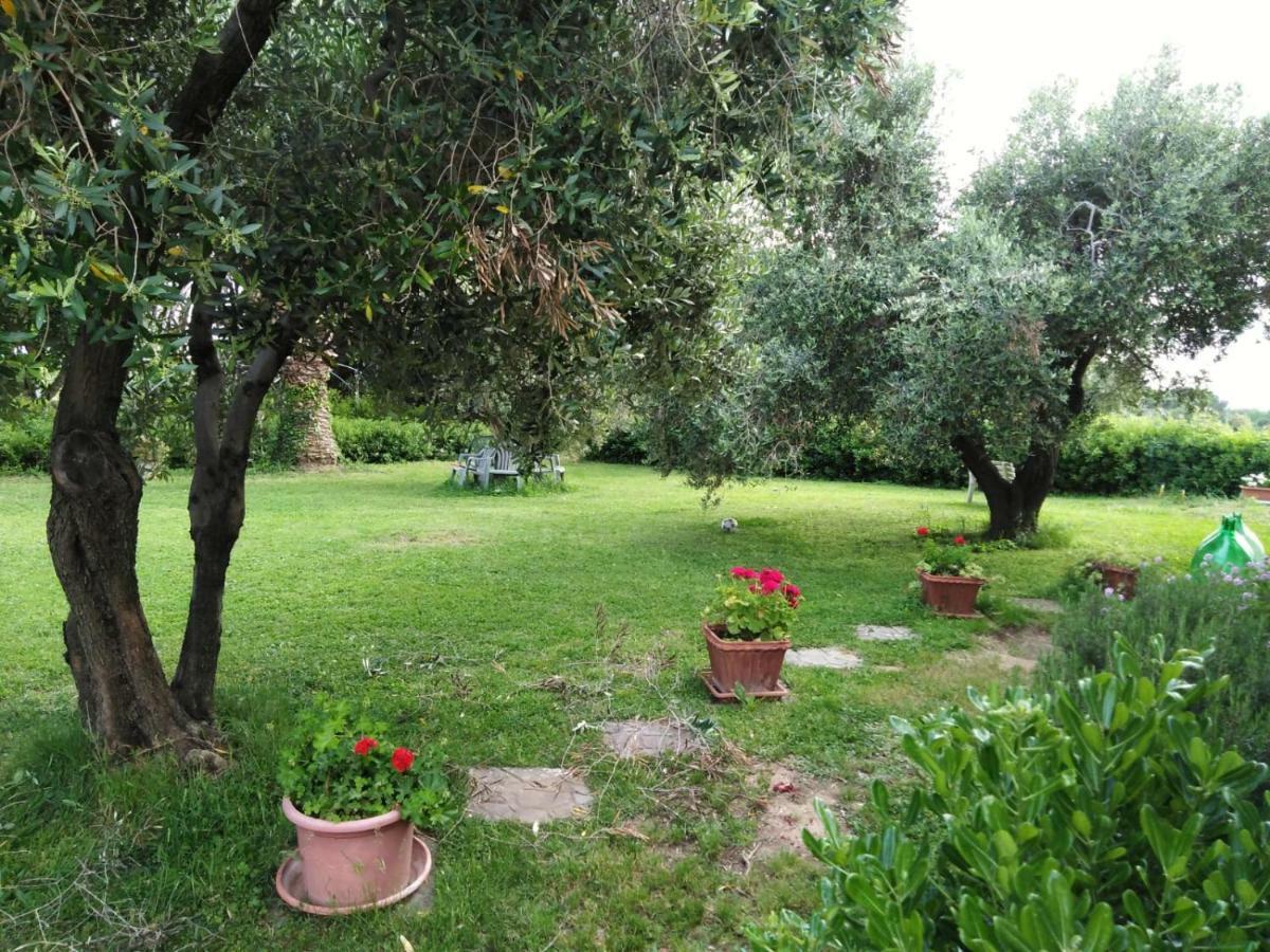Campo Alle More Cecina  Exteriér fotografie