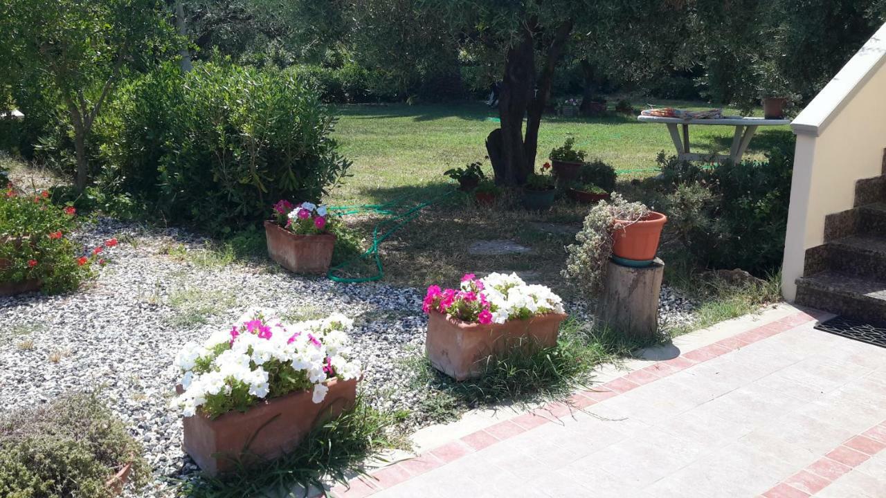 Campo Alle More Cecina  Exteriér fotografie