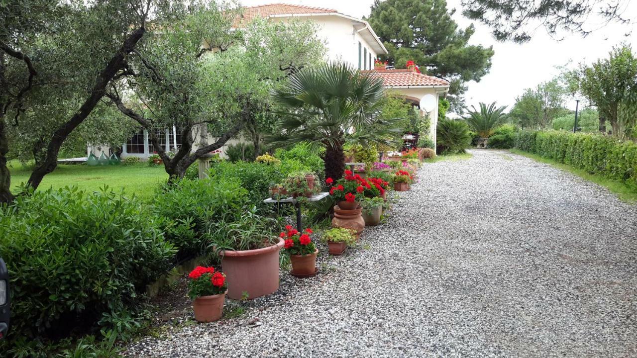 Campo Alle More Cecina  Exteriér fotografie