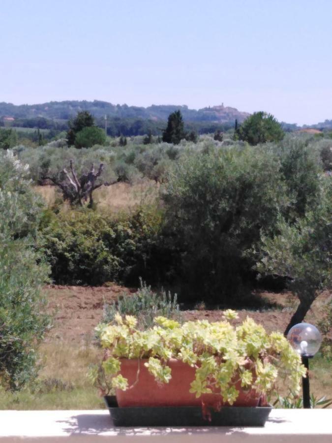 Campo Alle More Cecina  Exteriér fotografie